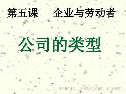 高中政治必修1—公司的类型(课件)