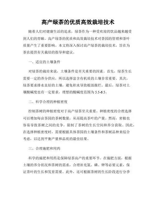 高产绿茶的优质高效栽培技术