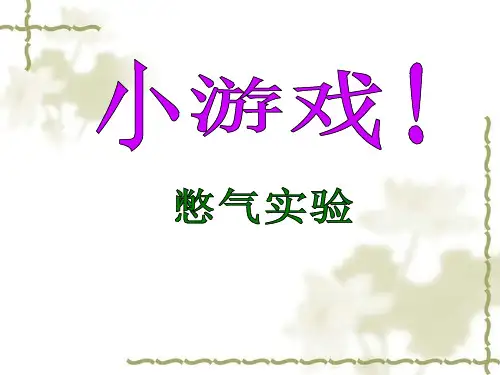 呼吸道对空气的处理上课ppt课件