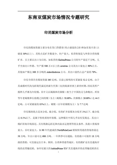 印尼煤炭分析