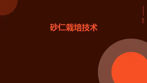 砂仁栽培技术