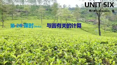 中考数学总复习 第六单元 圆 第26课时 与圆有关的计算课件