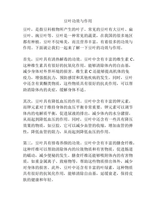豆叶功效与作用