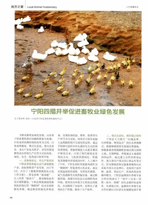 宁阳四措并举促进畜牧业绿色发展