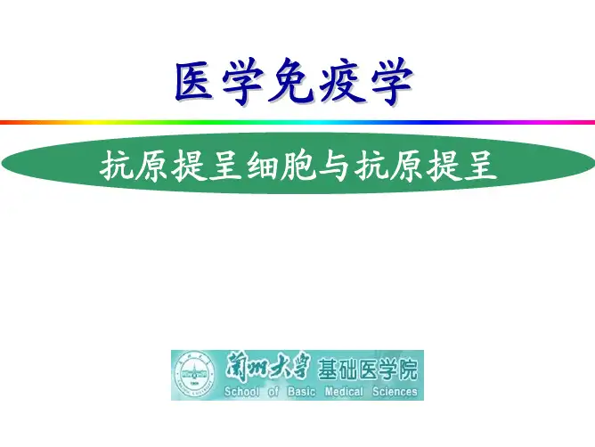 抗原提呈细胞与抗原提呈细胞