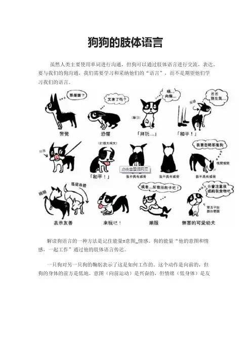 狗狗的肢体语言