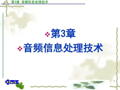 第三章 音频信息处理技术
