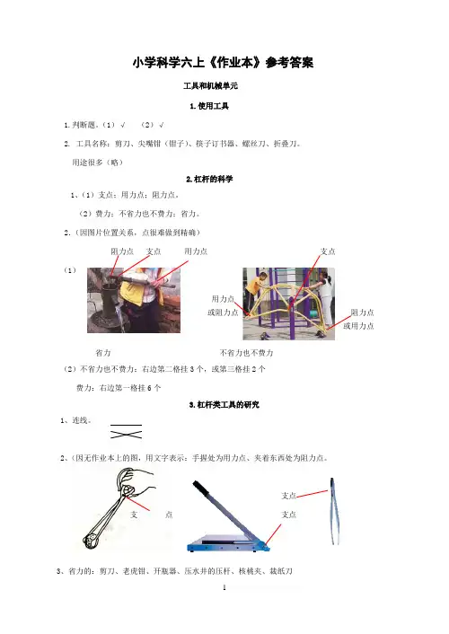科学六年级上册作业本参考答案