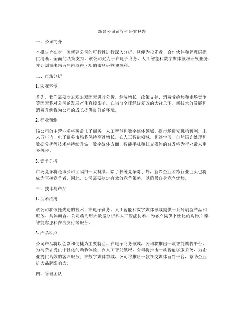新建公司可行性研究报告
