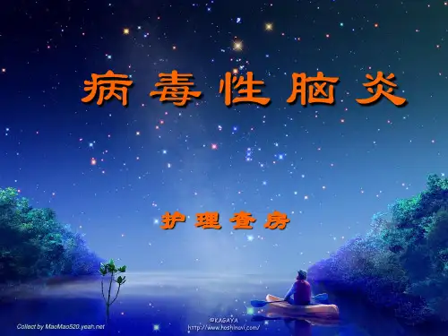 病毒性脑炎护理查房 PPT课件