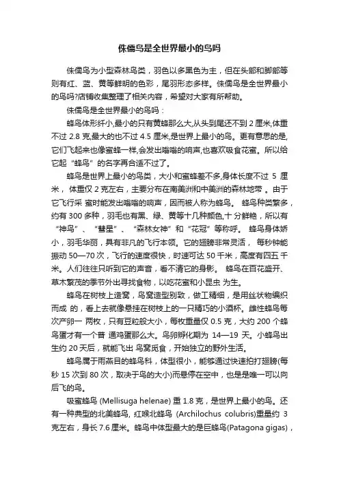 侏儒鸟是全世界最小的鸟吗