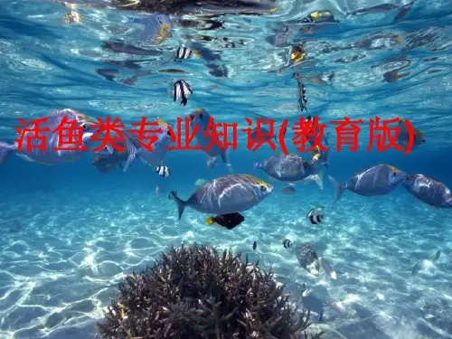 活鱼类专业知识(教育版)