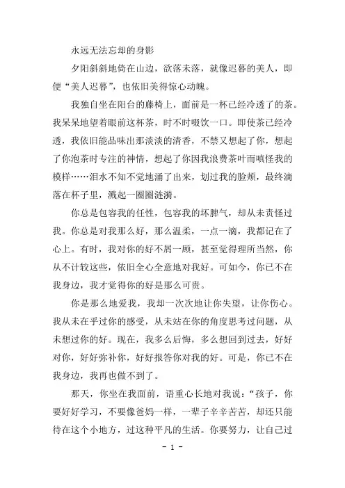 你的身影让我愧疚作文600字亲情