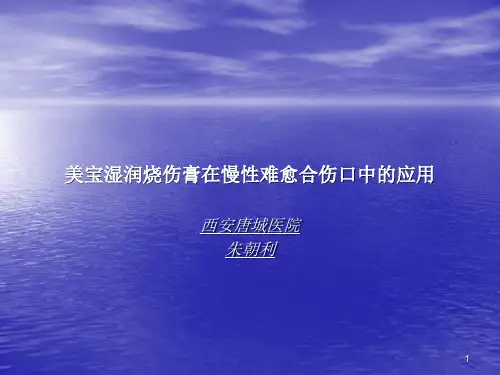 美宝湿润烧伤膏在慢性难愈合伤口中的应用PPT课件