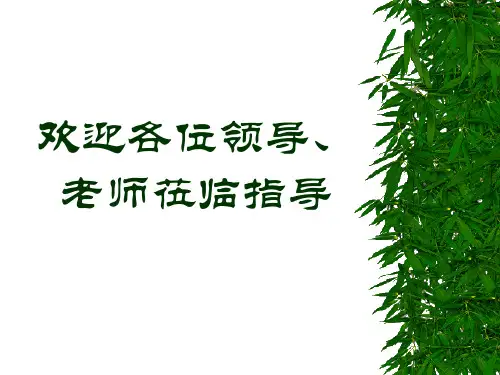 历史人教版必修一第23课《新中国初期的外交》课件 31ppt