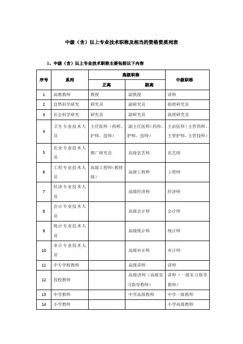 中级(含)以上专业技术职称及相当的资格列表