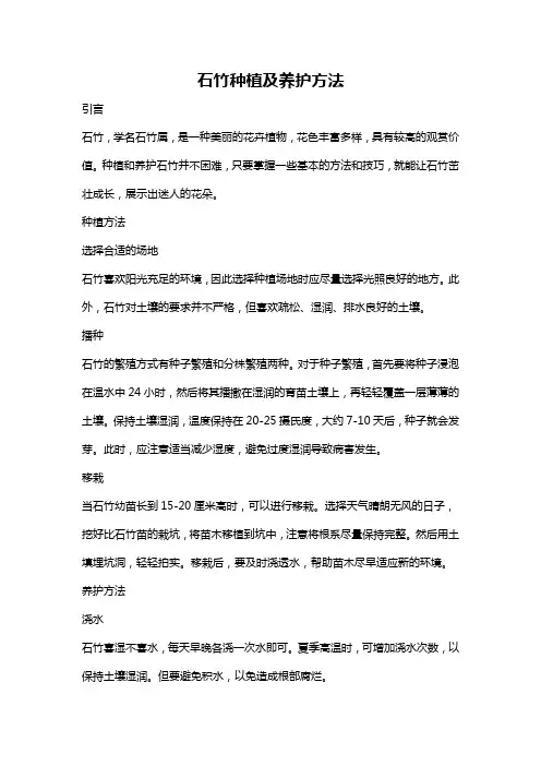 石竹种植及养护方法