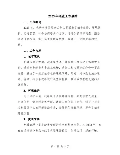 2023年巡查工作总结