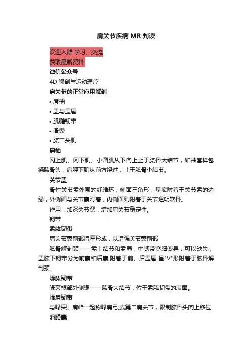 肩关节疾病MR判读