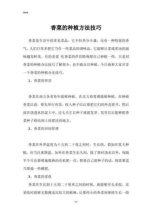香菜的种植方法技巧