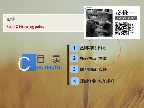2019版一轮英语江苏译林版课件：必修一 Unit 2 Growing pains 精品