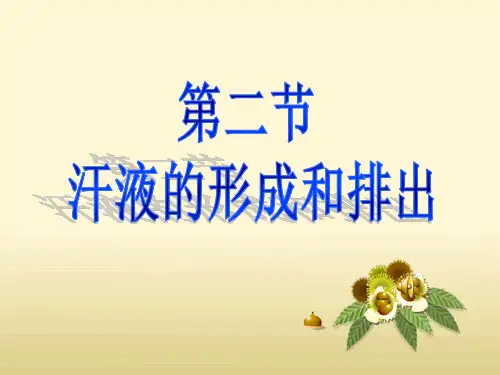 初中生物_《汗液的形成和排出》教学课件设计