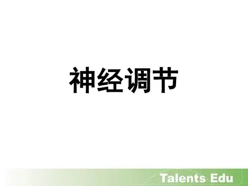 -神经调节2ppt课件