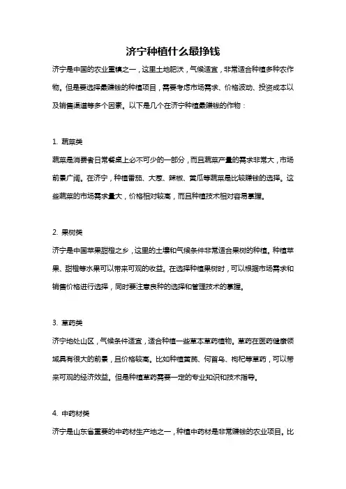 济宁种植什么最挣钱