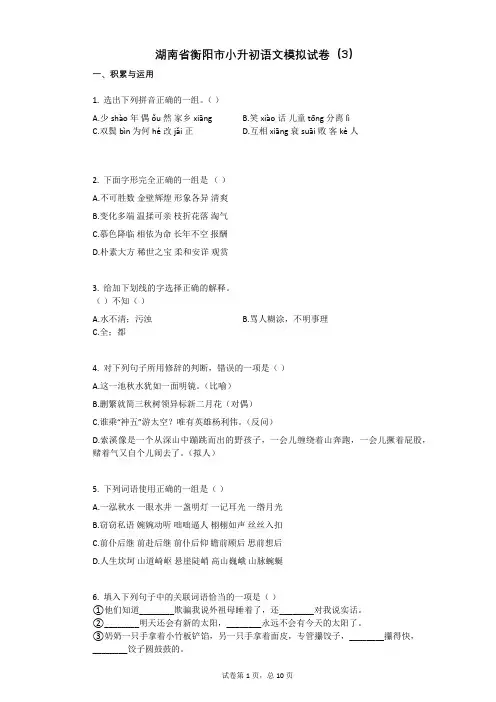 湖南省衡阳市小升初语文模拟试卷(3)有答案
