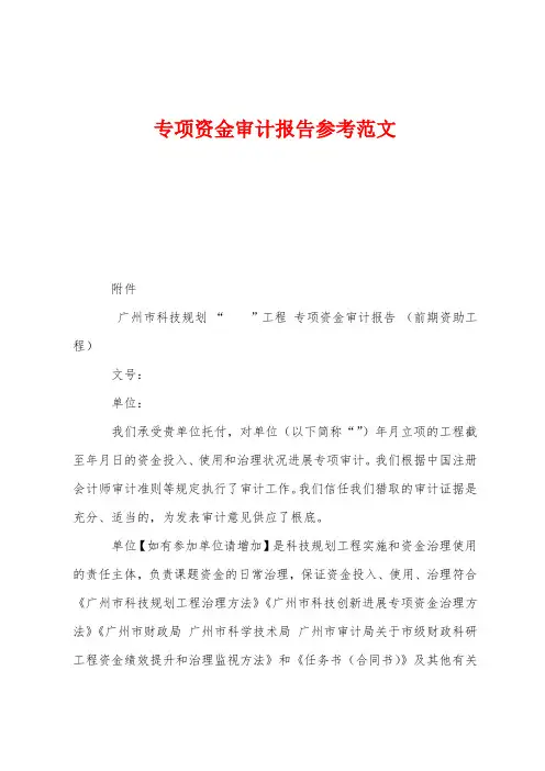 专项资金审计报告参考范文
