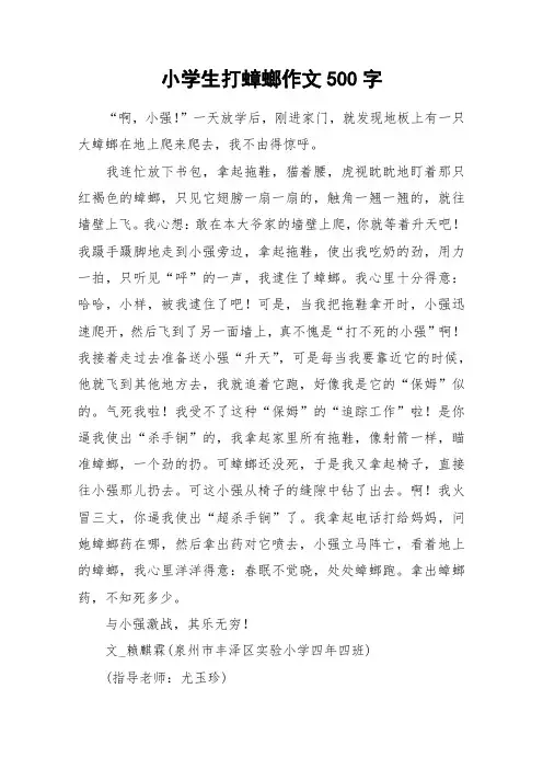 小学生打蟑螂作文500字_作文