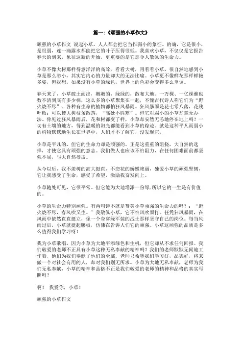 关于小草生命力顽强的作文800字