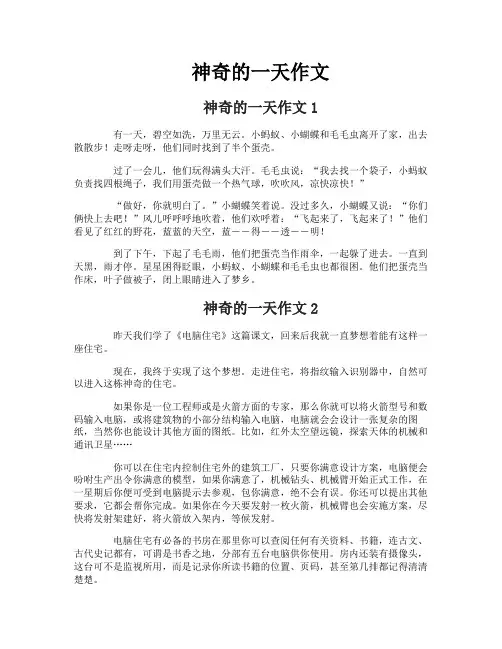 神奇的一天作文-2