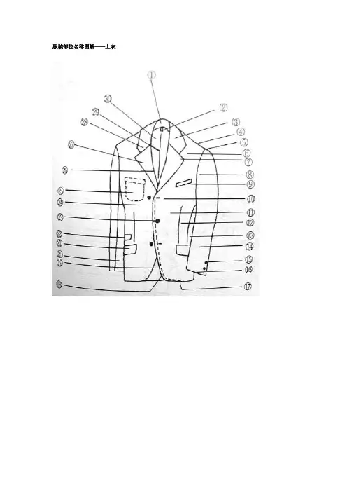 服装部位名称图解——上衣
