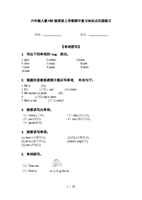六年级人教PEP版英语上学期期中复习知识点巩固练习