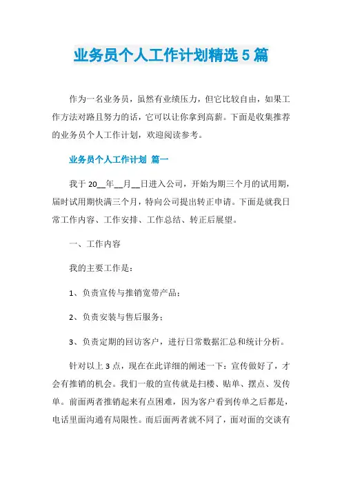 业务员个人工作计划精选5篇