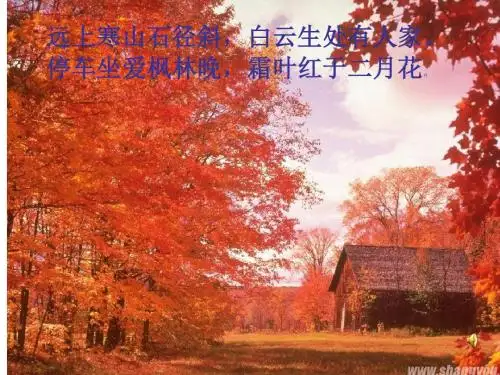 作文指导 三年级作文秋天 PPT课件(共20张)