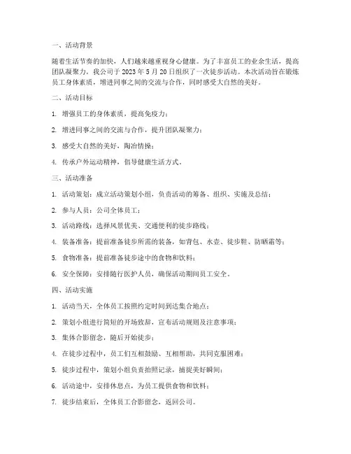 徒步活动总结报告范文