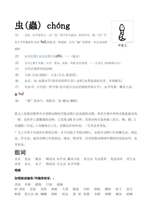 每日一字-虫