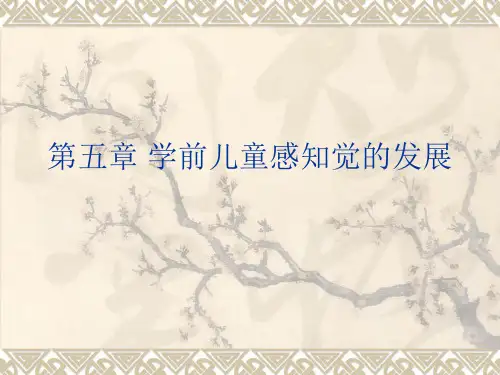 第五章 学前儿童感知觉的发展.