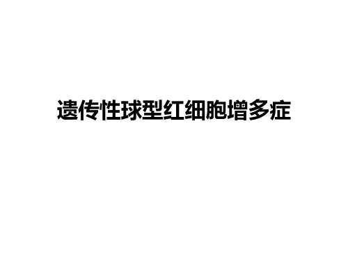 6.3遗传性球型红细胞增多症
