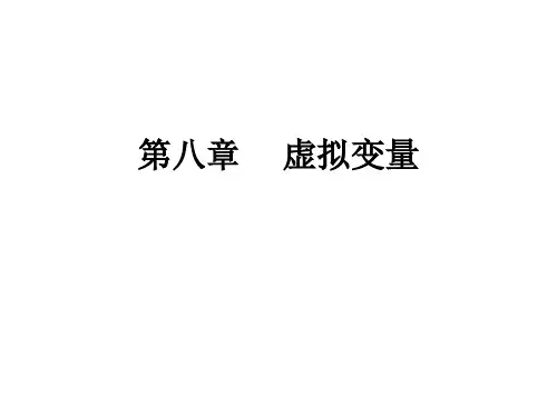 虚拟变量