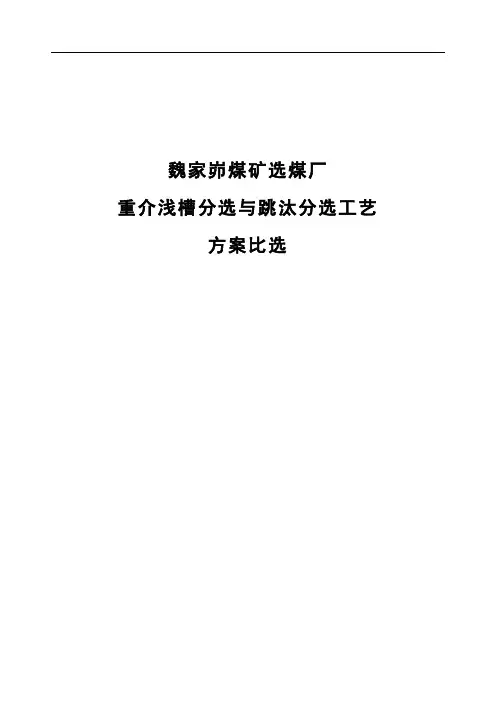 重介与跳汰工艺方案对比