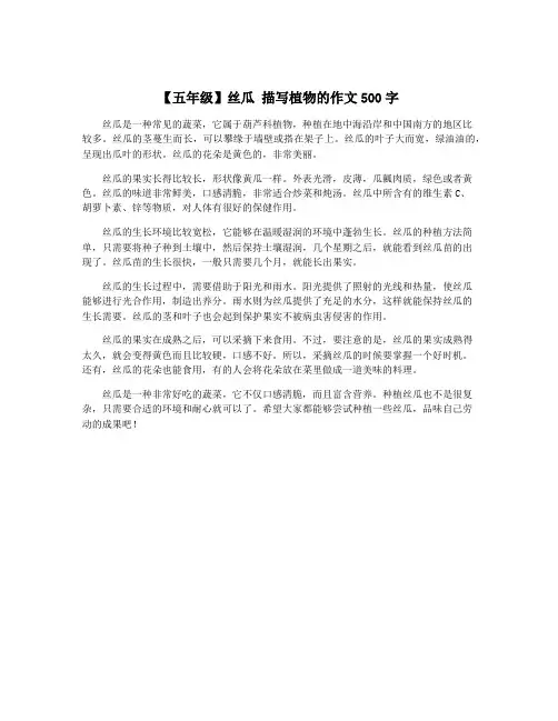【五年级】丝瓜 描写植物的作文500字