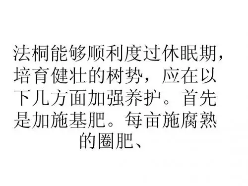 法桐冬季休眠期如何度过