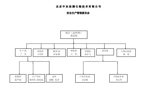 安全生产委员会组织架构图