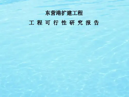 港口规划东营港扩建工程集装箱码头设计