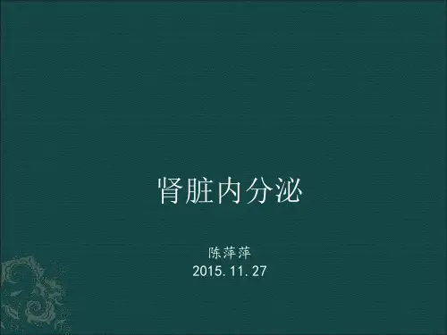 肾脏内分泌PPT课件