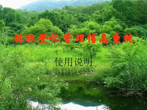 林权登记管理信息系统培训教程