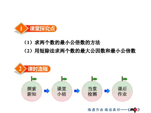 最大公因数和最小公倍数的求法ppt课件